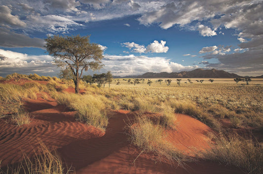 Namibia